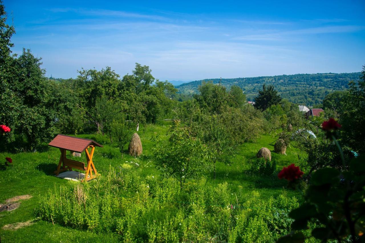 Pensiunea Bontos Budeşti Buitenkant foto